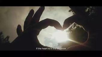 暖阳劫,一场爱与复仇的生死较量