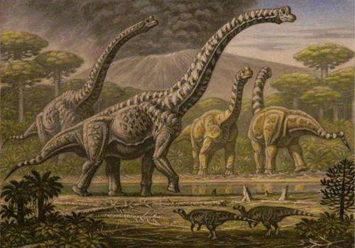 恐龙时代,揭秘地球生命演化的辉煌篇章