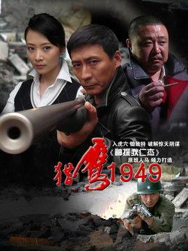 猎鹰1949,揭秘二战神秘战斗机传奇