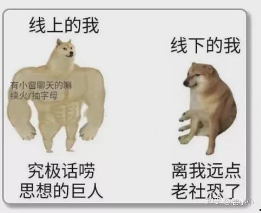 夏老太重生后鸡飞狗跳的日子,鸡飞狗跳的闹剧人生