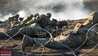 开路先锋,引领未来发展的创新力量