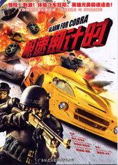 爱的极速倒计时,极速心跳的浪漫旅程